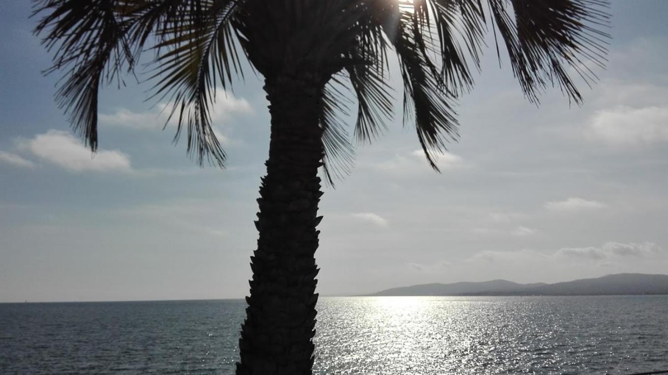 Les Studios Famandiers Saint-Raphaël 外观 照片